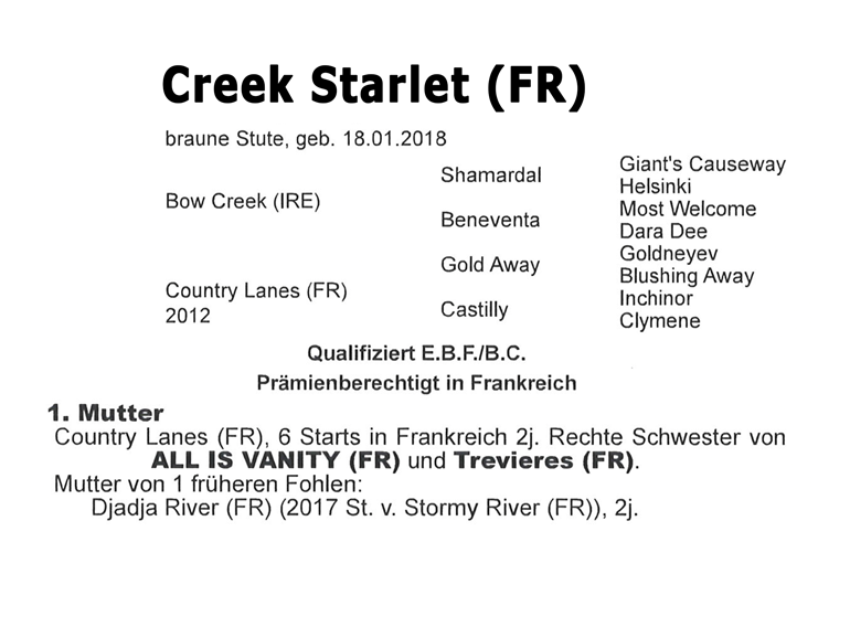 ElSur Racing Creek Starlet