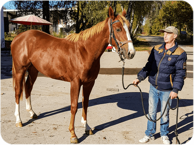 ElSur Racing Shining Starlet