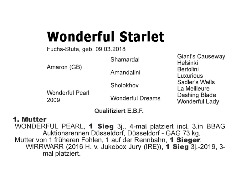 ElSur Racing Wonderful Starlet