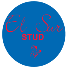 ElSur Stud