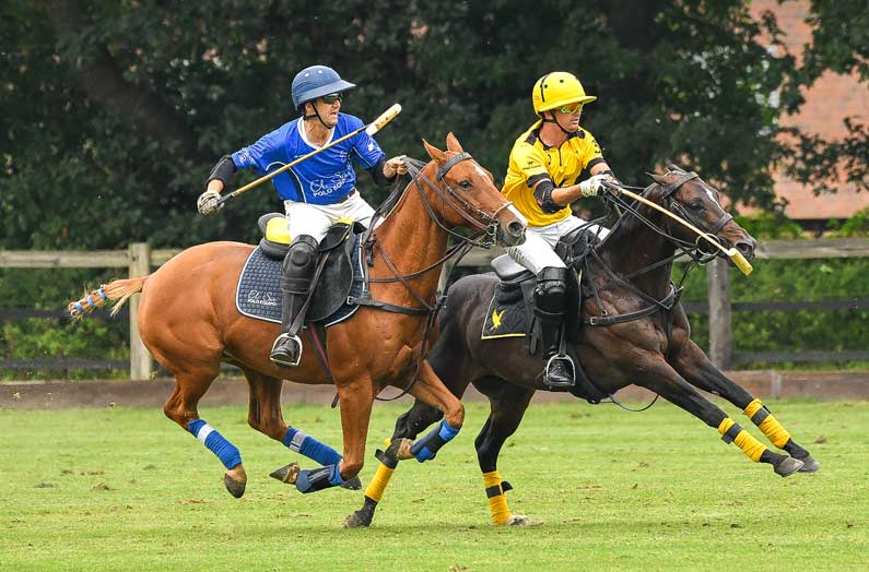 El Sur Polo