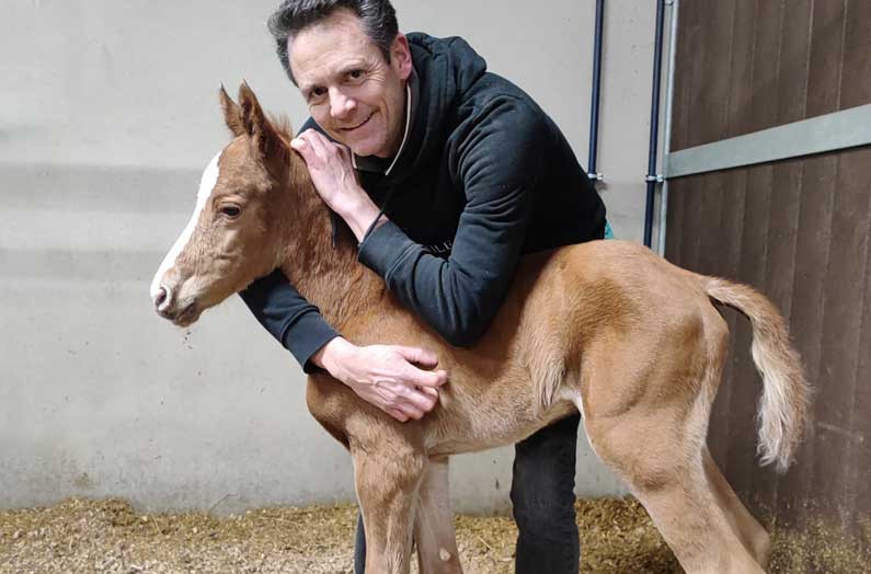 Jochen-mit-Fohlen Jochen-mit-Fohlen