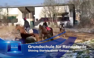 Premier galop de Shining Starlet