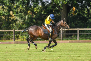 Polo Gold Cup 2020 Picture by R.Simon