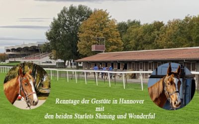 Premier GAG pour Wonderful & Shining Starlet