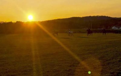 Polo in Schönaich im goldenen Herbst.