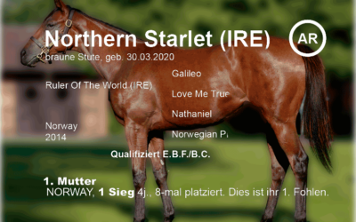 Nous attendons avec impatience « Northern Starlet »