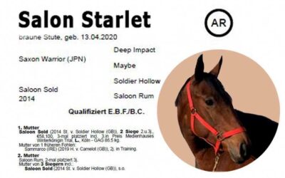 Mise à jour du pedigree pour Salon Starlet