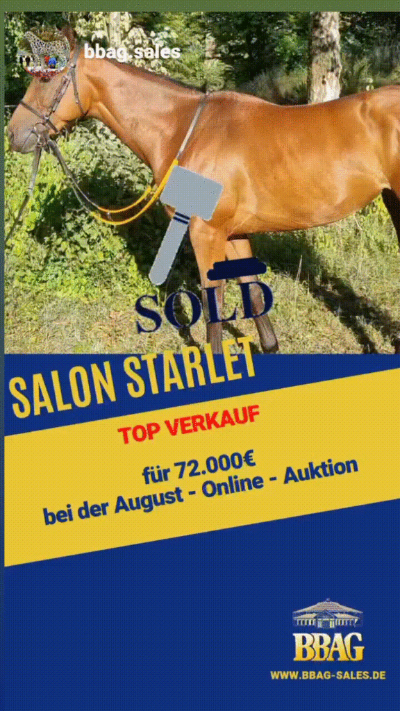 Salon Starlet Verkauf