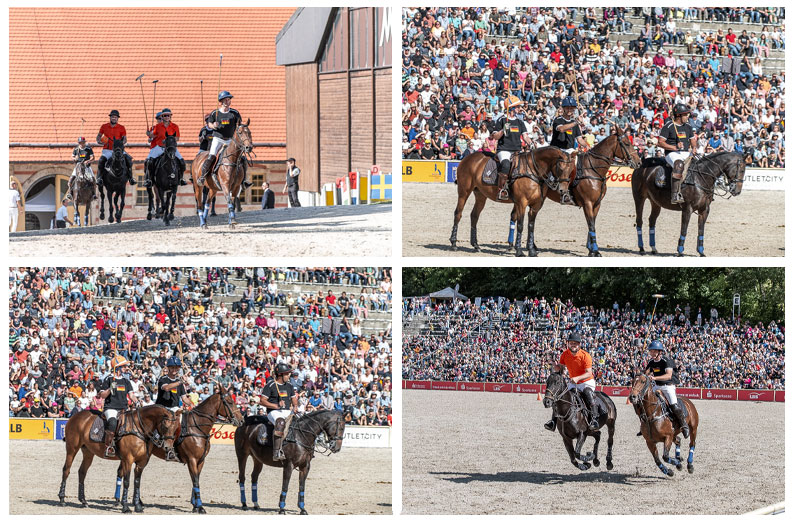 Spectacle - Polo - Marbach