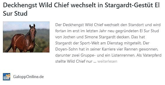 Stallion Wild Chief GaloppOnline.de