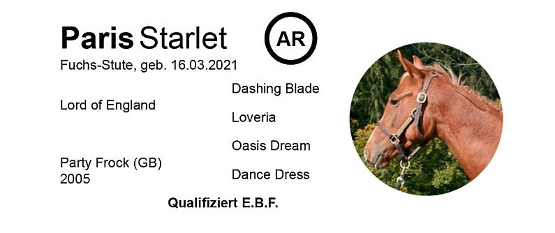 Race day with a folk festival atmosphere in Miesau