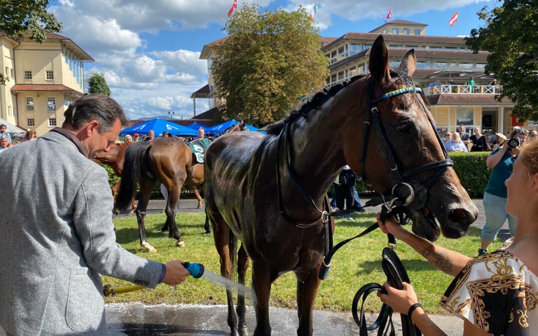 Northern Starlet holt zweiten Platz