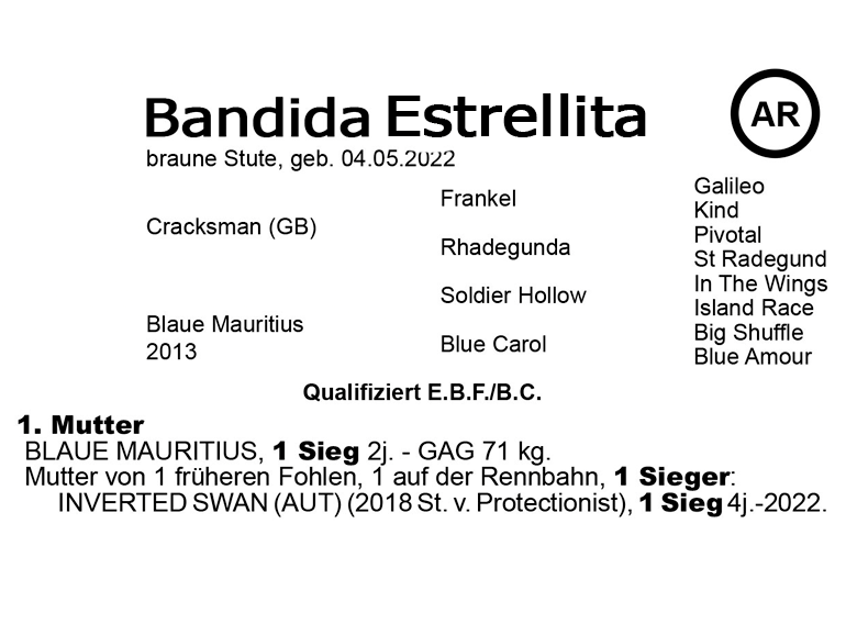 Bandida-Estrellita-Stamm