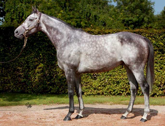 El Sur Racing acquires a stake in Zagrey