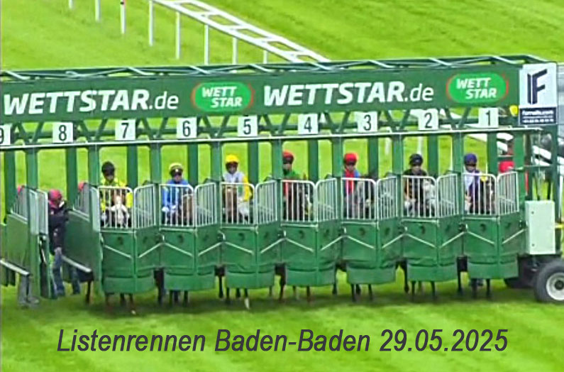 Tanami Starlet im Listenrennen