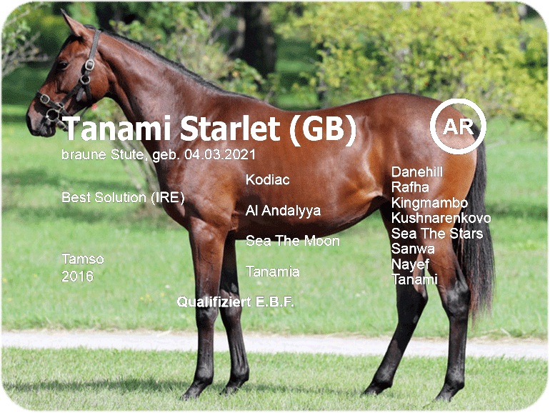 El Sur Tanami Starlet