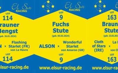 Abschied bei El Sur