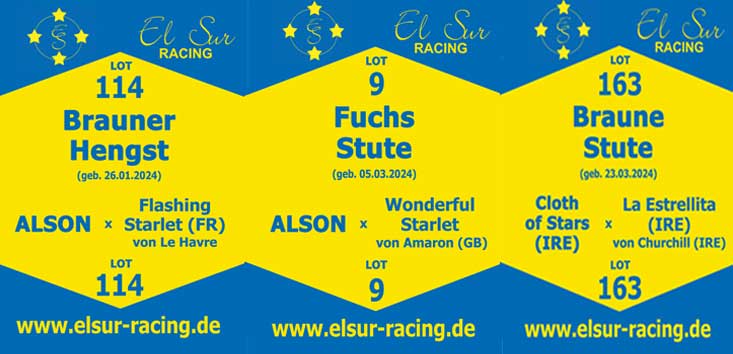 Abschied bei El Sur
