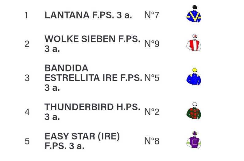 Bandida-Estrellita-in Vittel