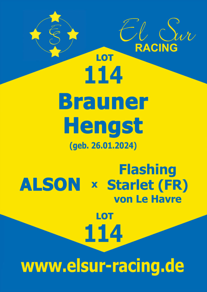 Brauner Hengst