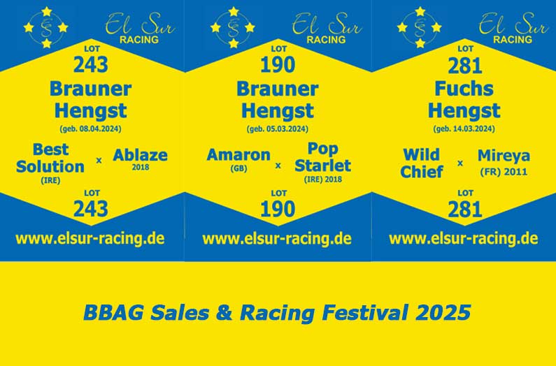 BBAG SALES & RACING FESTIVAL 2025
