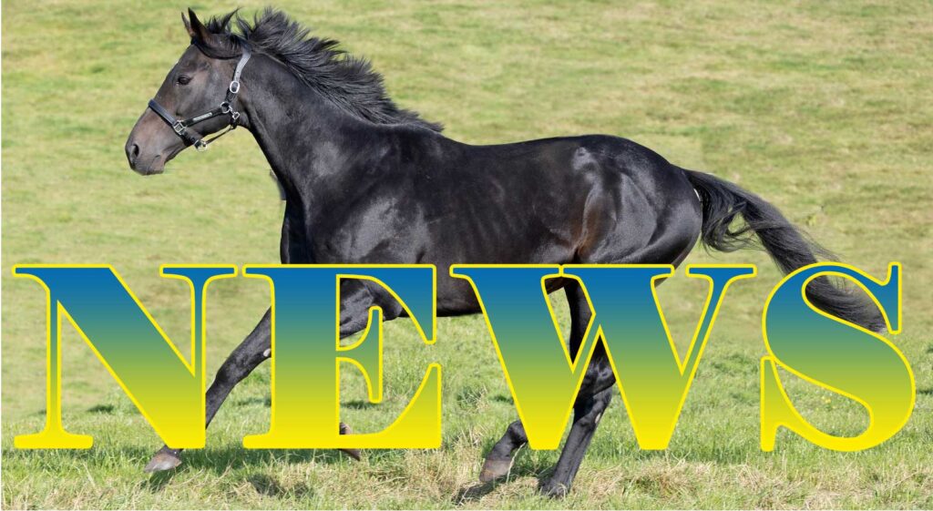 El Sur Weltstar NEWS-