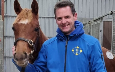 Einkauf bei Goffs November Foal Sale