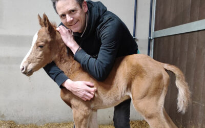 Foaling season 2026