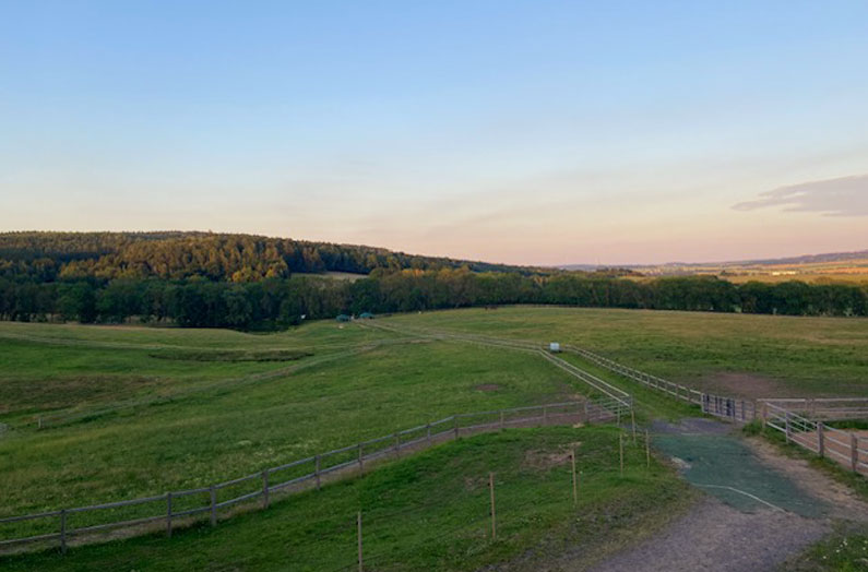 El-Sur-Gestuet-Gelaende-Sommerhitze