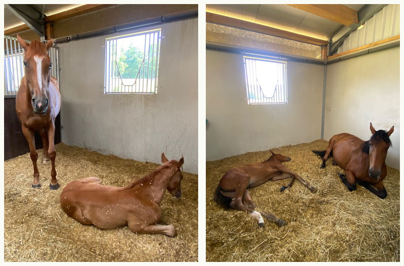 El-Sur-Racing-Sommerhitze