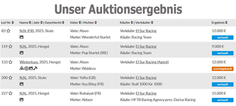 El Sur Racing Auktionsergebnis-Oktoer-2026