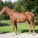 Kat. 231 - Sales & Racing 2022 Paris Starlet